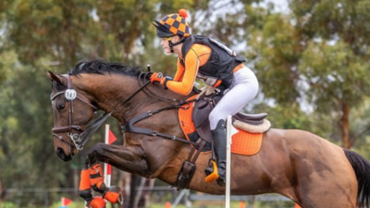 Powered by Provex, Hunter rides like a superstar thanks to Provex.