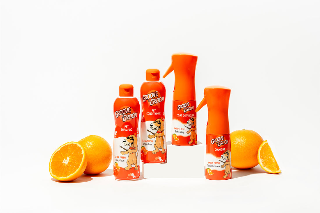 Extra Fresh - Full Bundle