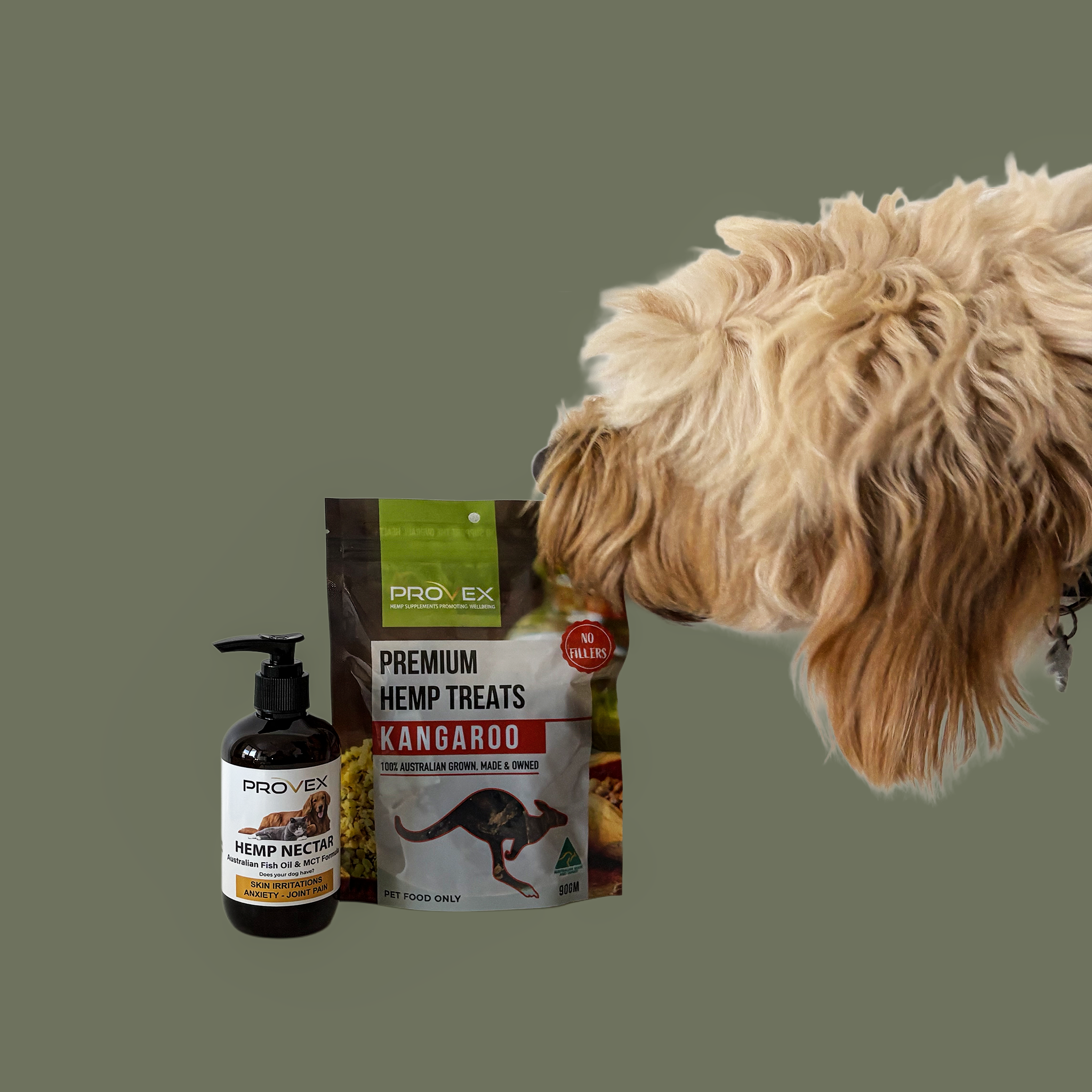 Dog sniffing Provex hemp product packaging on a plain background - Kangaroo hemp treats and Nectar blend oil