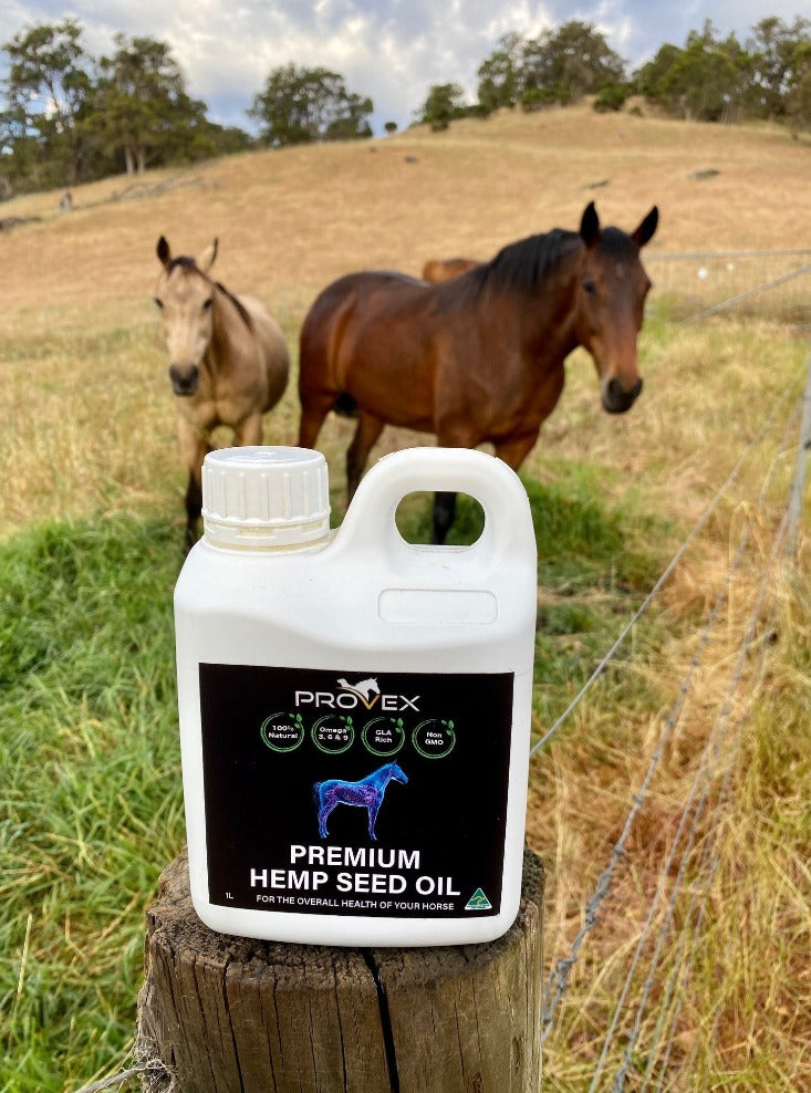 Australian Premium Horse Hemp Seed Oil