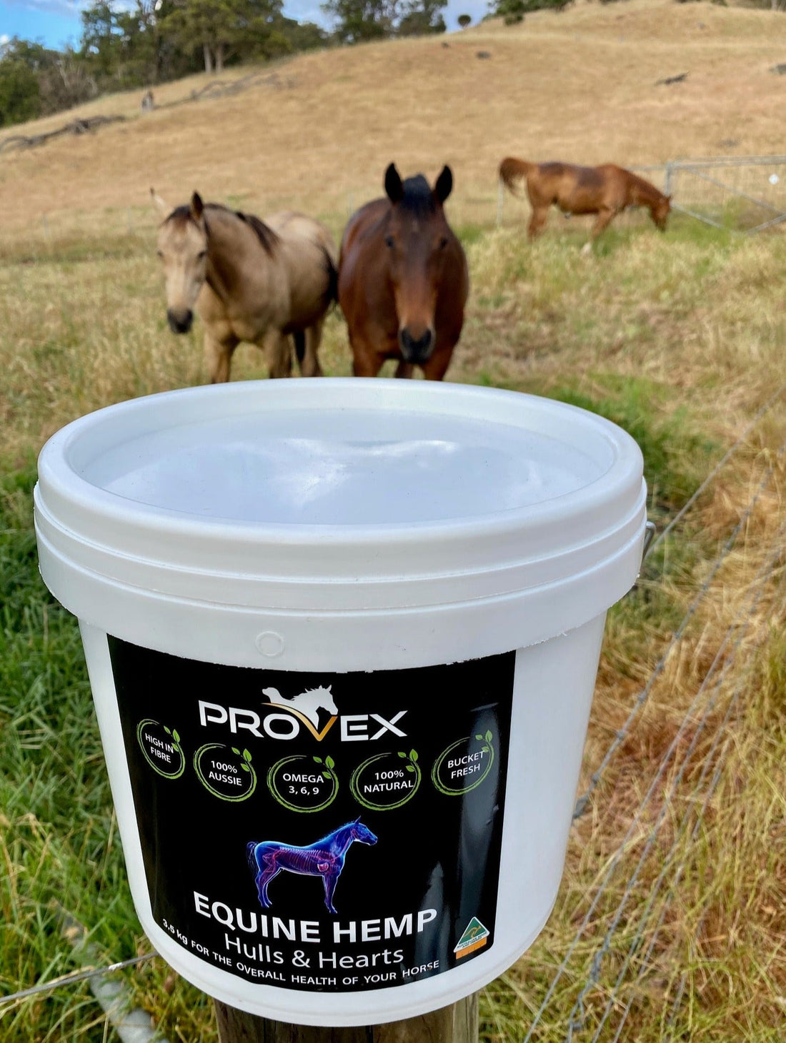 Equine Feed - Hemp Hulls & Hearts