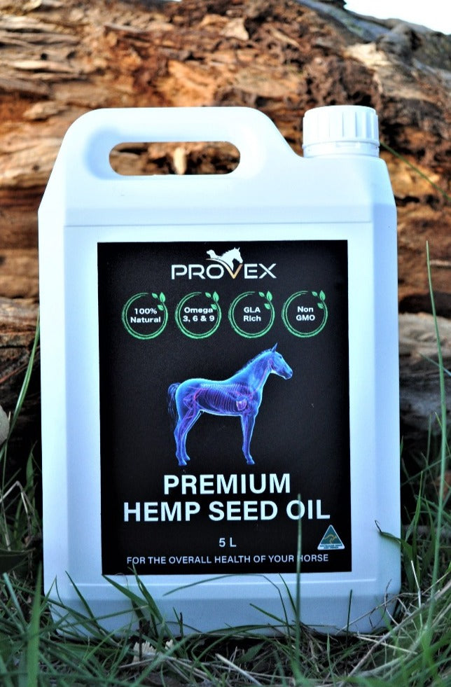 A white container of Premium Horse Hemp Seed Oil with a label featuring a horse silhouette and text, placed against a natural background with rocks and grass.