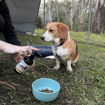 Hemp Nectar + 100% Aussie Fish &amp; MCT Oil